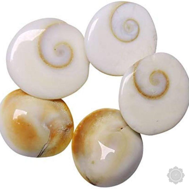 Gomti Chakra Stone
