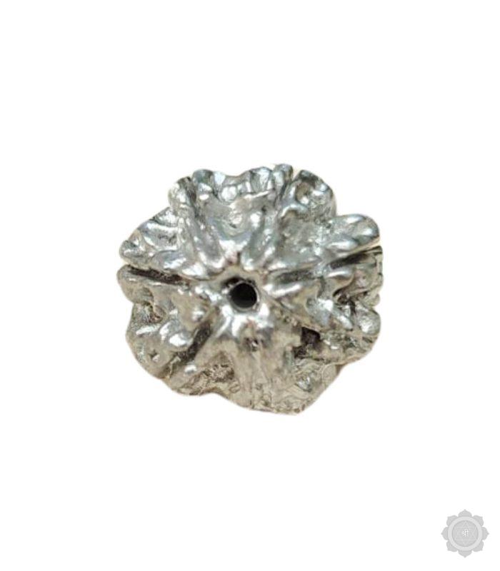 6 Mukhi Parad Rudraksha Bead