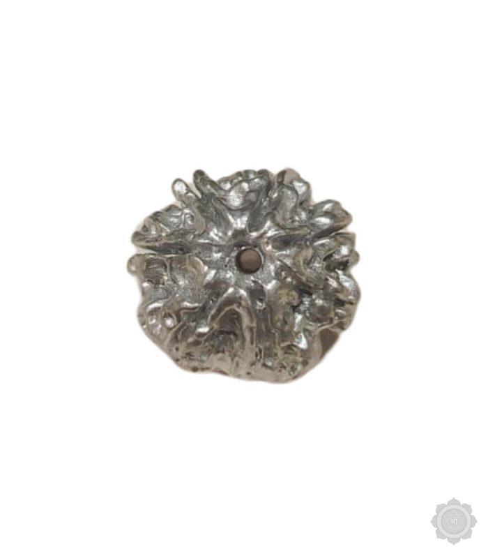 7 Mukhi Parad Rudraksha Bead