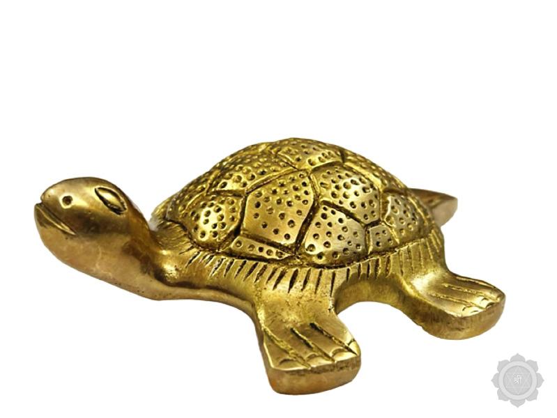 Feng shui Brass Vastu  Tortoise