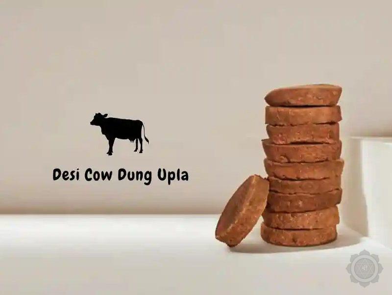 Cow Dung Cakes
