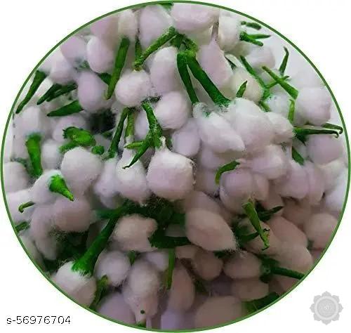 Green And White Wicks