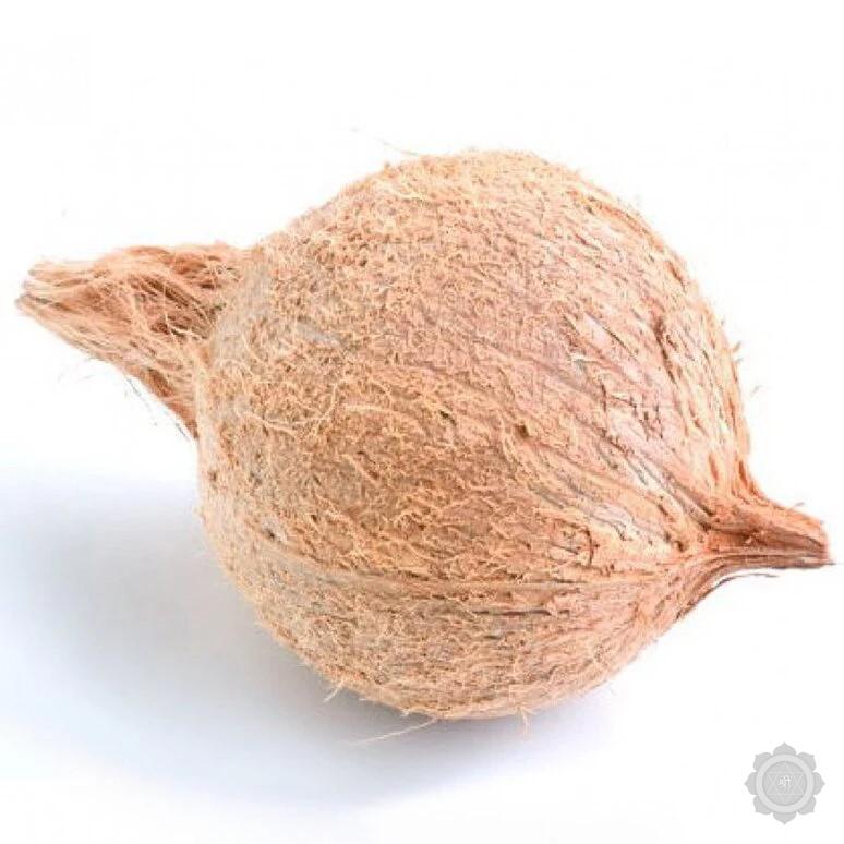 Semi Husked Coconut