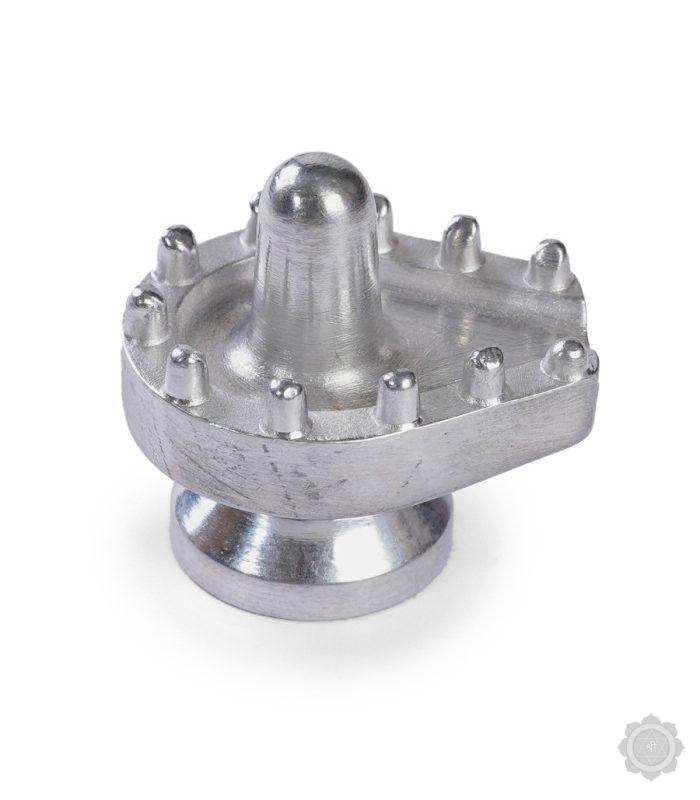Abhimantrit  Shivling With 12 Jyotirling