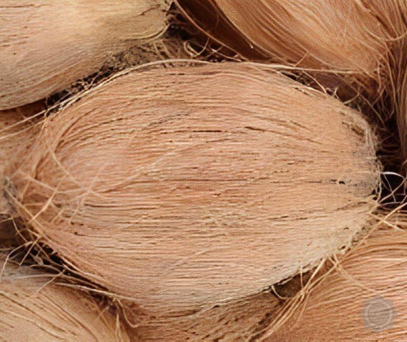 Whole Coconut (Pooja Nariyal)