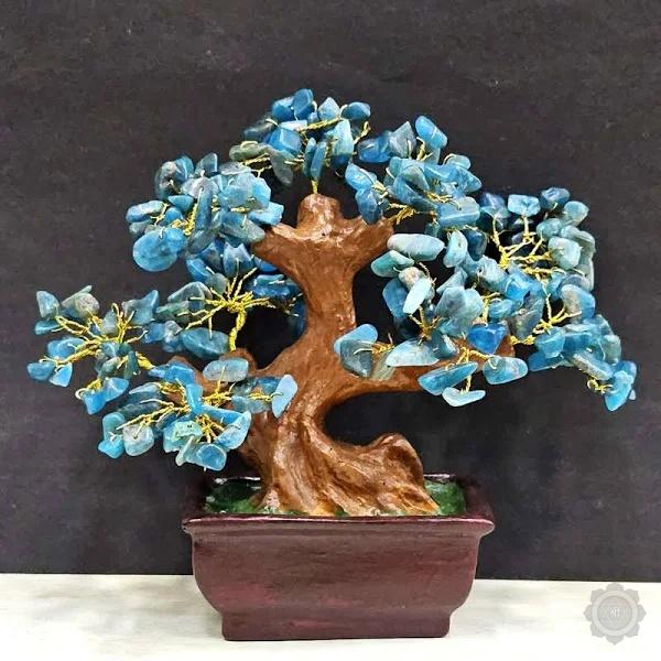 Apatite Tree