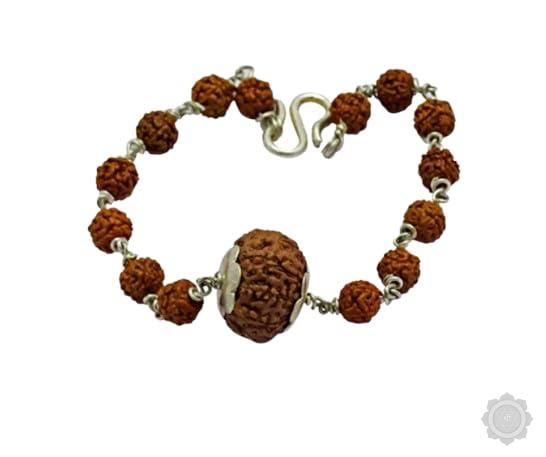 10 Mukhi Rudraksha Bracelet
