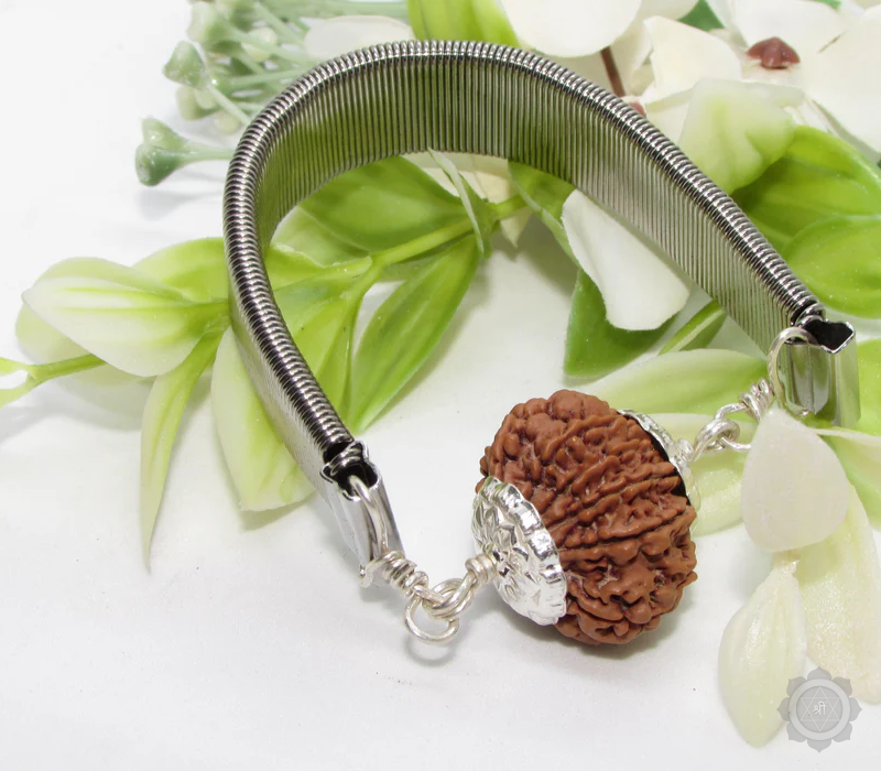11 Mukhi Rudraksha Bracelet