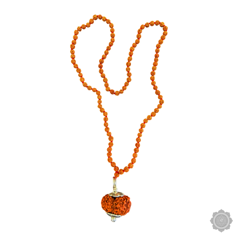 11 Mukhi Rudraksha Mala