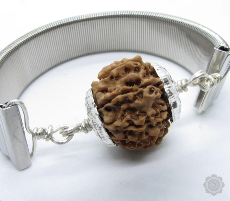 12 Mukhi Rudraksha Bracelate