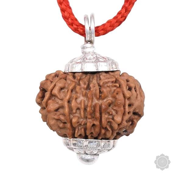 12 mukhi Rudraksha pendant