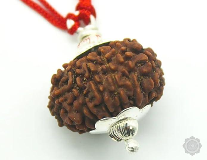 13 mukhi Rudraksha pendant