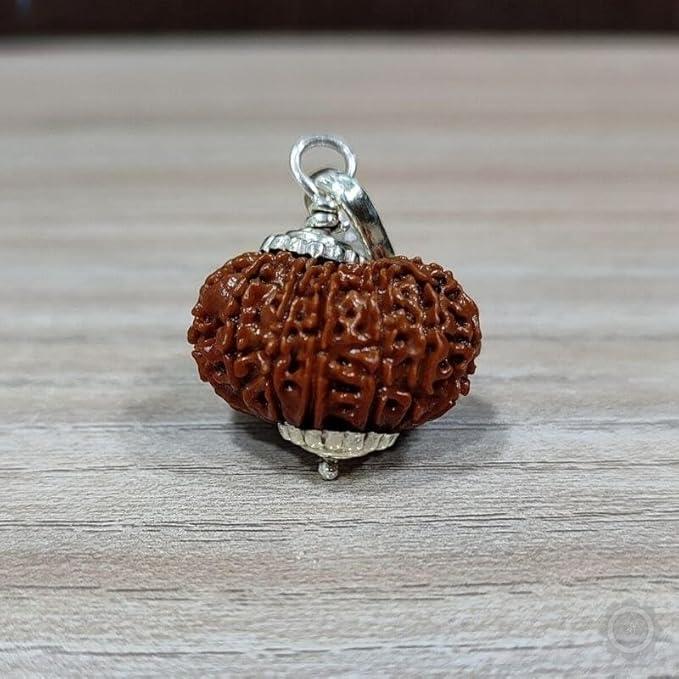 16 mukhi Rudraksha pendant