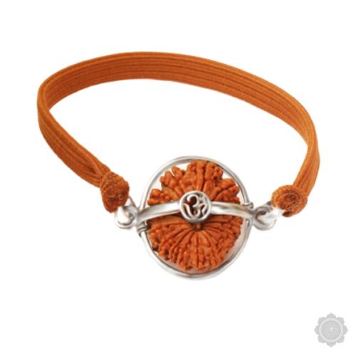 17 Mukhi Rudraksha Bracelate