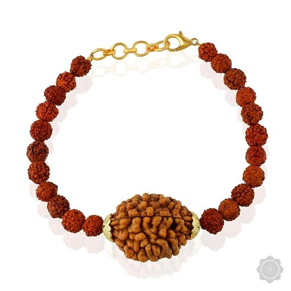 2 Mukhi Rudraksha Bracelet