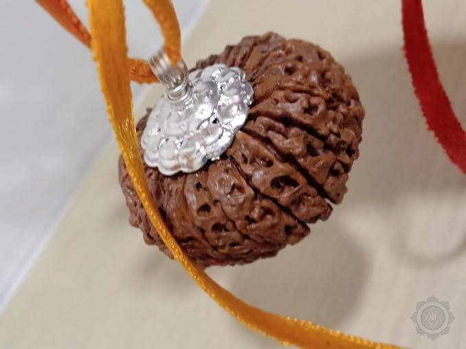 20 mukhi Rudraksha pendant