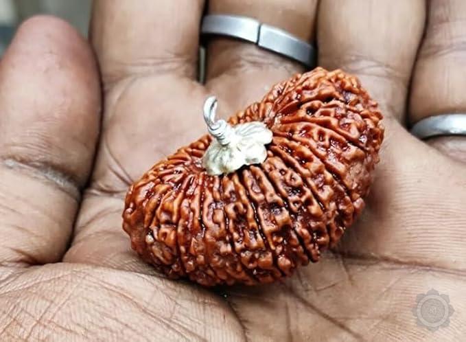 21 mukhi Rudraksha pendant