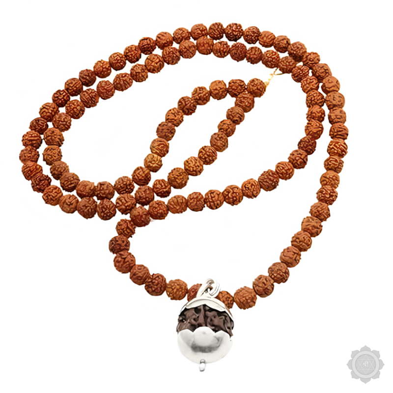 6 Mukhi Rudraksha Mala