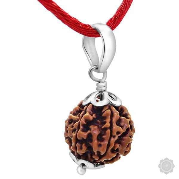 6 Mukhi Rudraksha Pendat