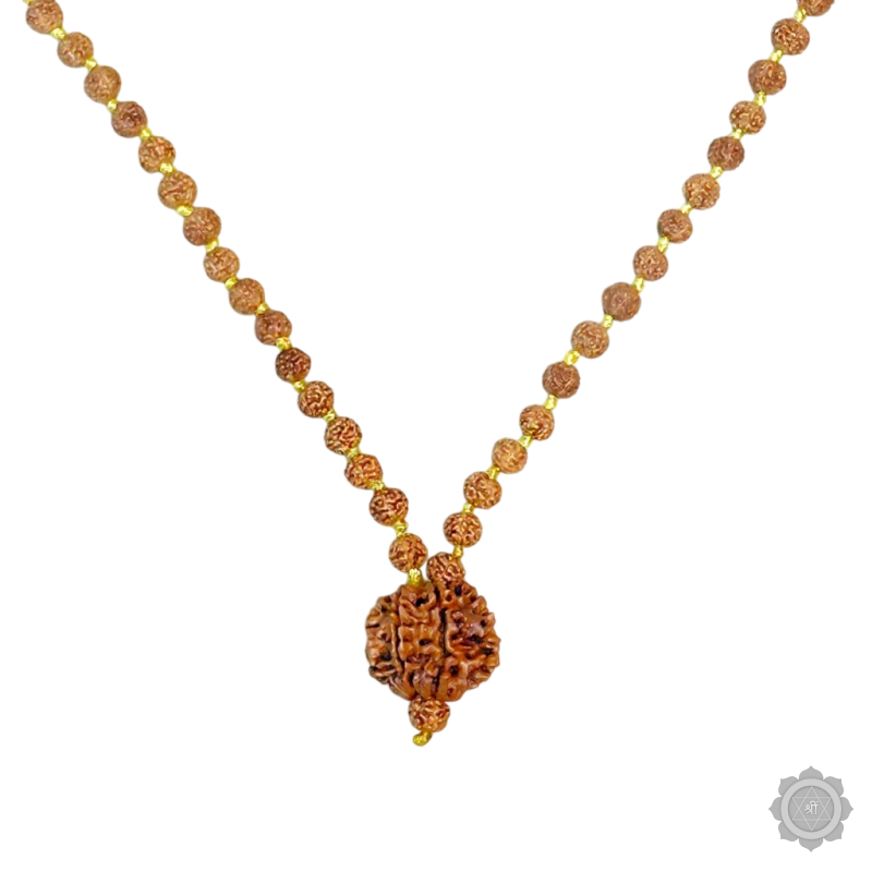 8 Mukhi Rudraksha Mala