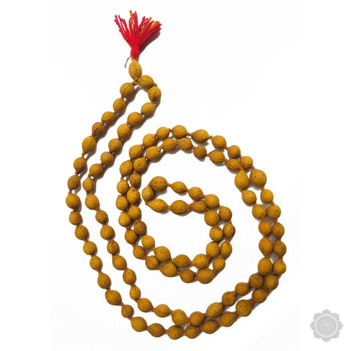 Putra jeevak Mala