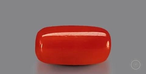 Red Coral (Moonga) Stone